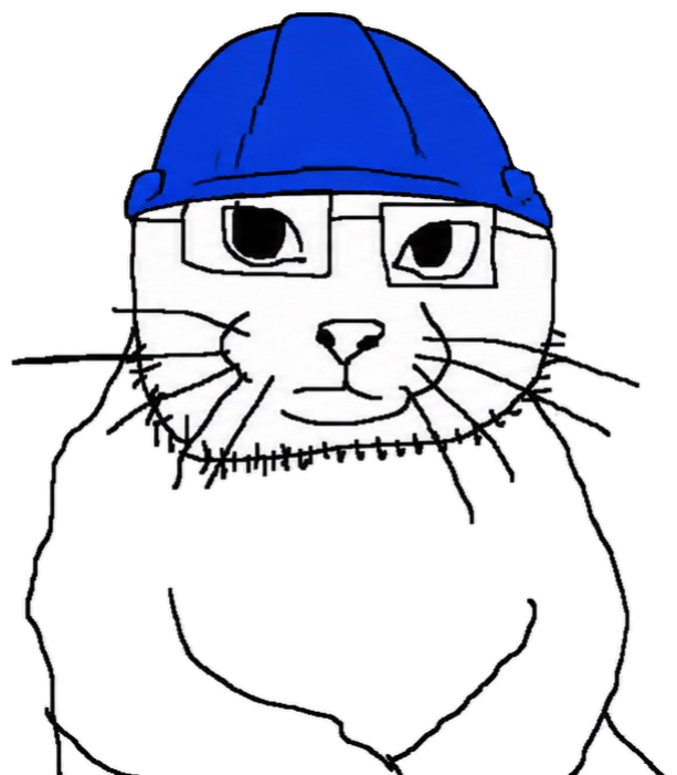 BuilderCat face
